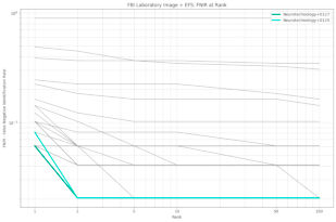 Neurotechnology algorithms performance in NIST ELFT, FBI Laboratory dataset