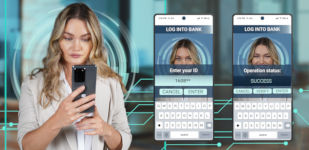 Face Verification graphics