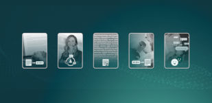 NetGeist graphics
